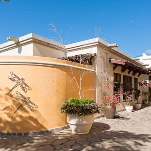 The beautiful facade of Pipilacha (‘Dragonfly’), blending contemporary design with tropical Tamarindo vibes.